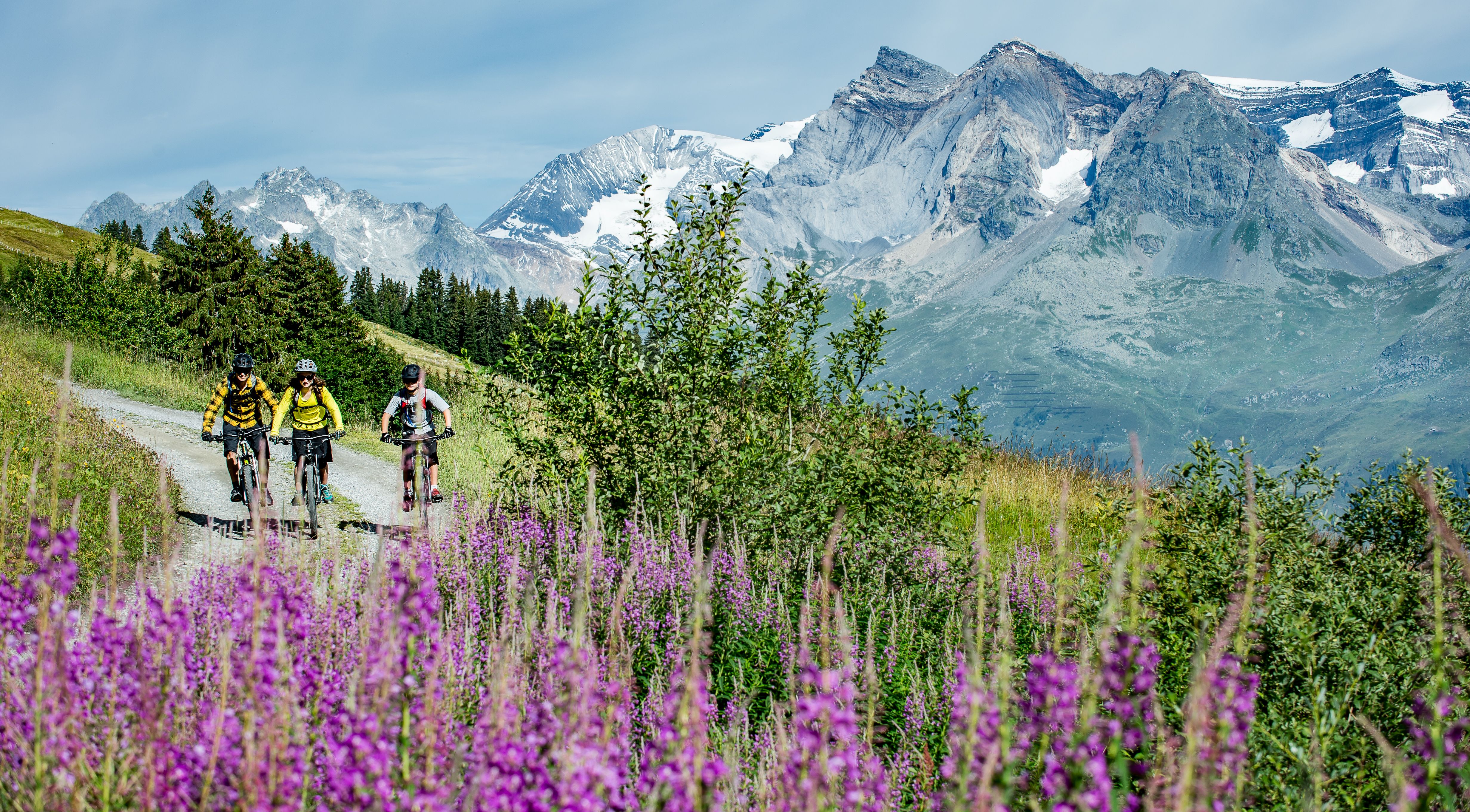 Biketour durch blühende Wiesen rund um Obersaxen