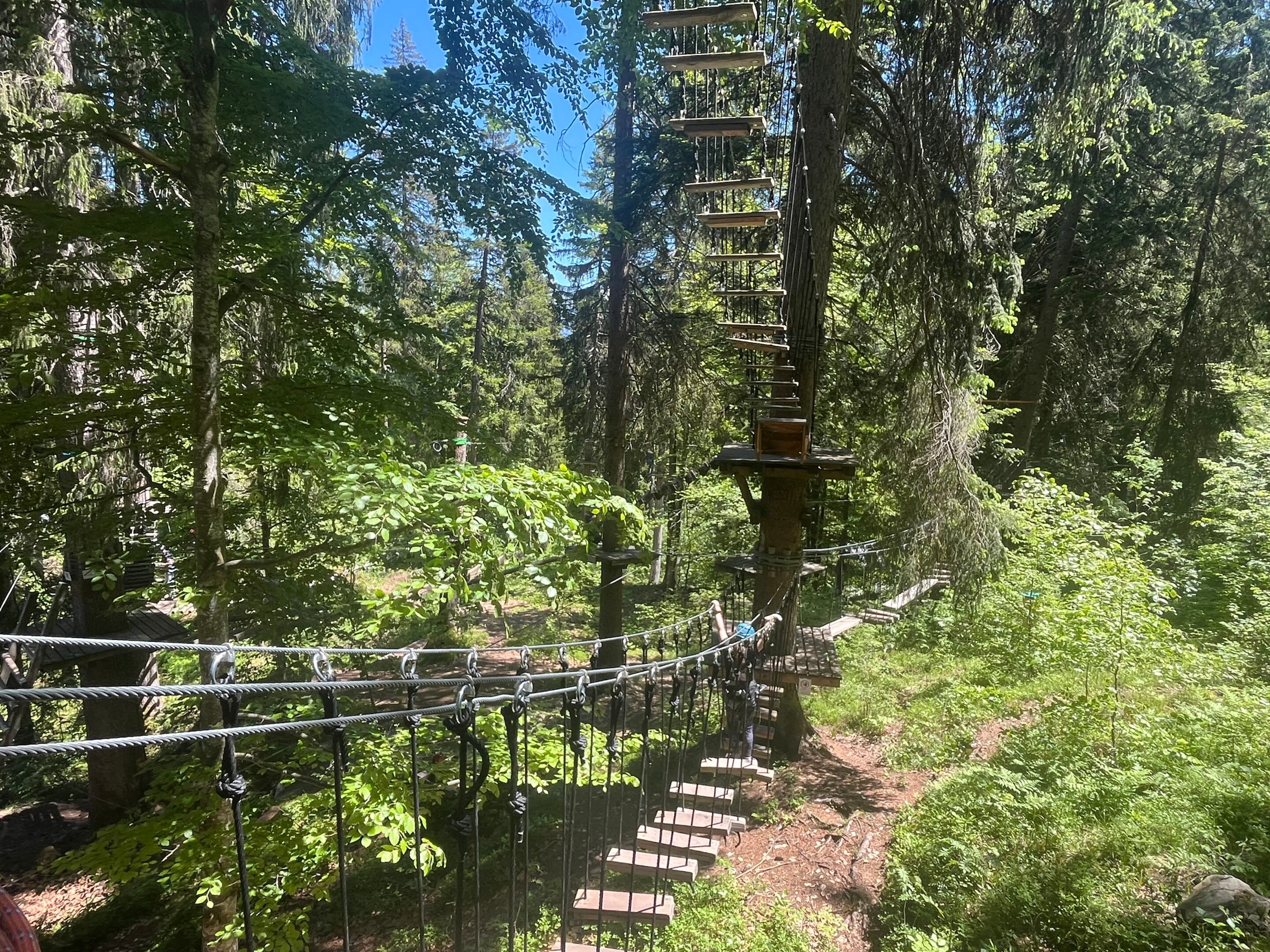 Kletterparcours im Hochseilpark Flims zwischen den Bäumen