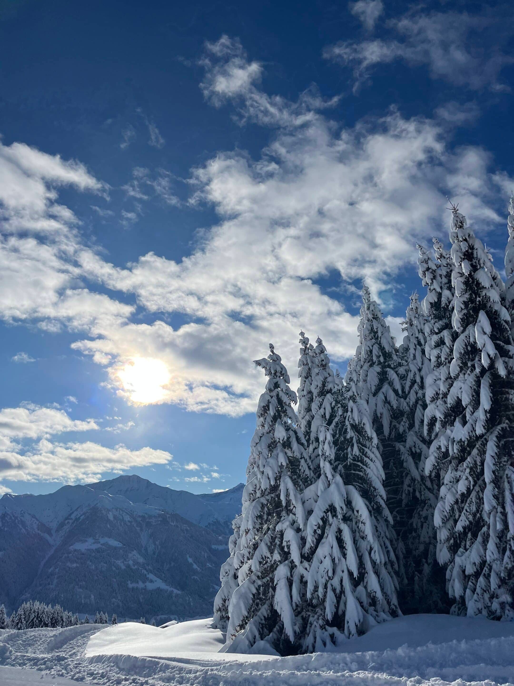 Winterlandschaft mit schneebedeckten Tannen und Sonne über den Bergen